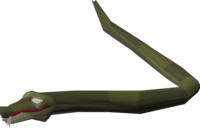 Bush snake.png